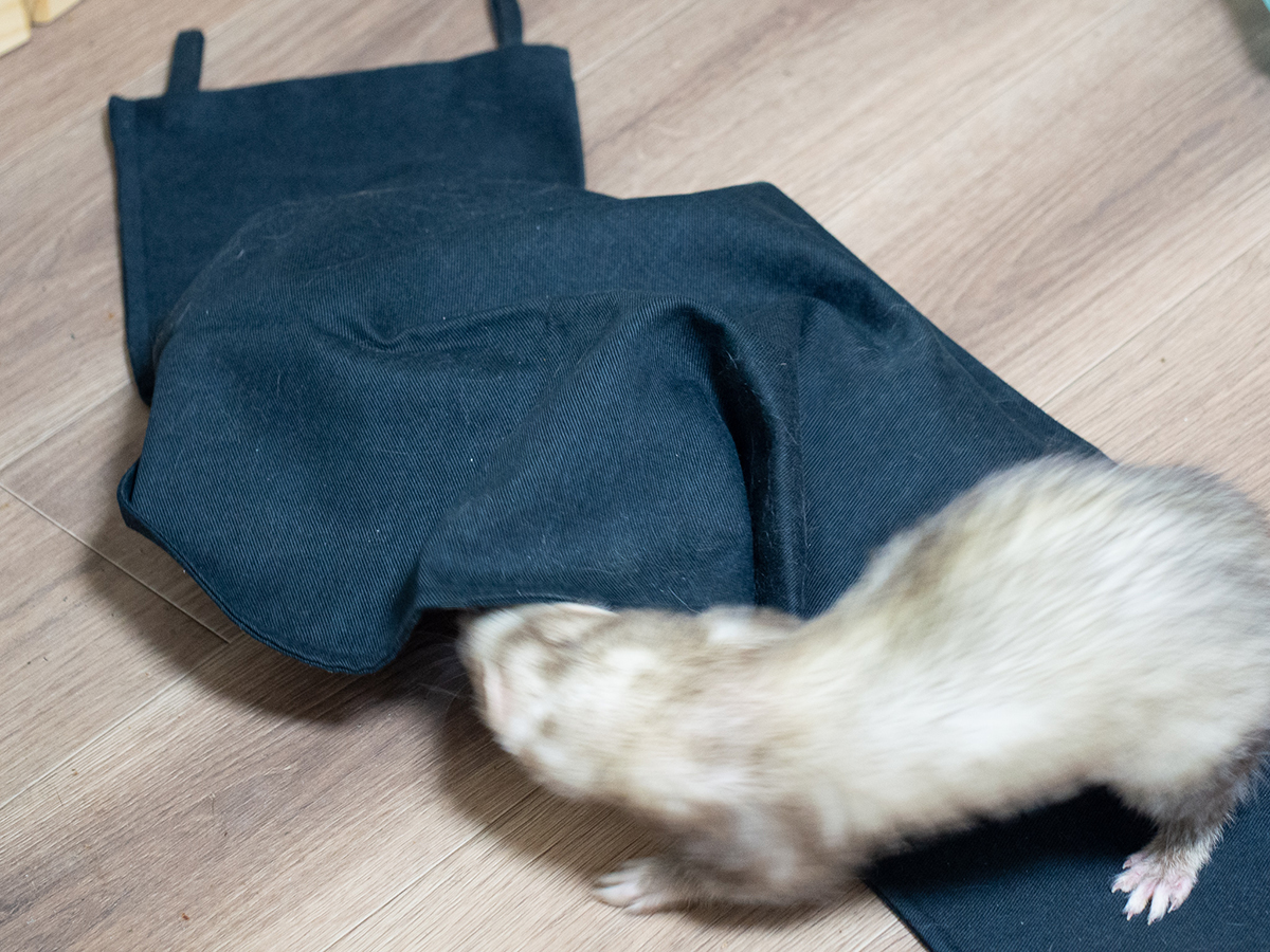 f:id:rokuzeudon:20190418193124j:plain