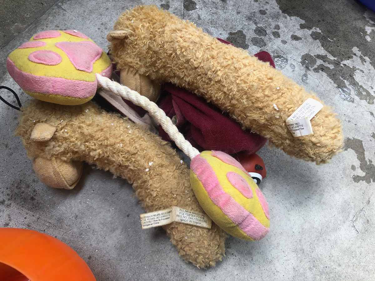 f:id:rokuzeudon:20190519112952j:plain