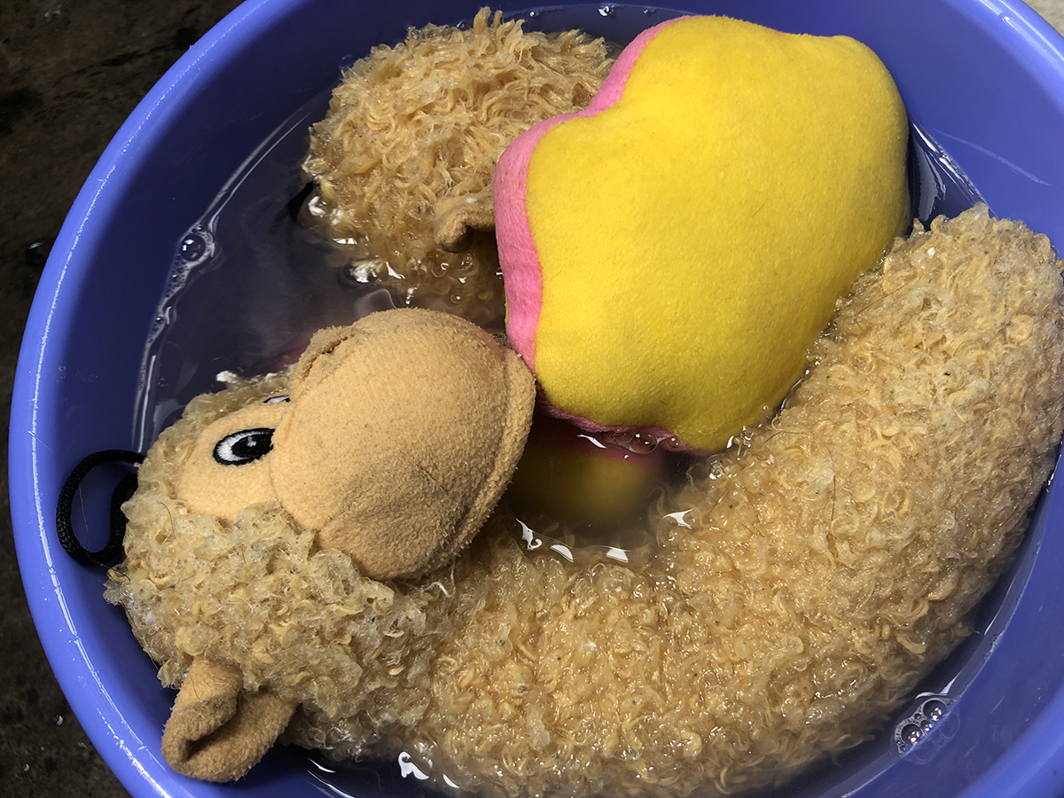 f:id:rokuzeudon:20190519113103j:plain