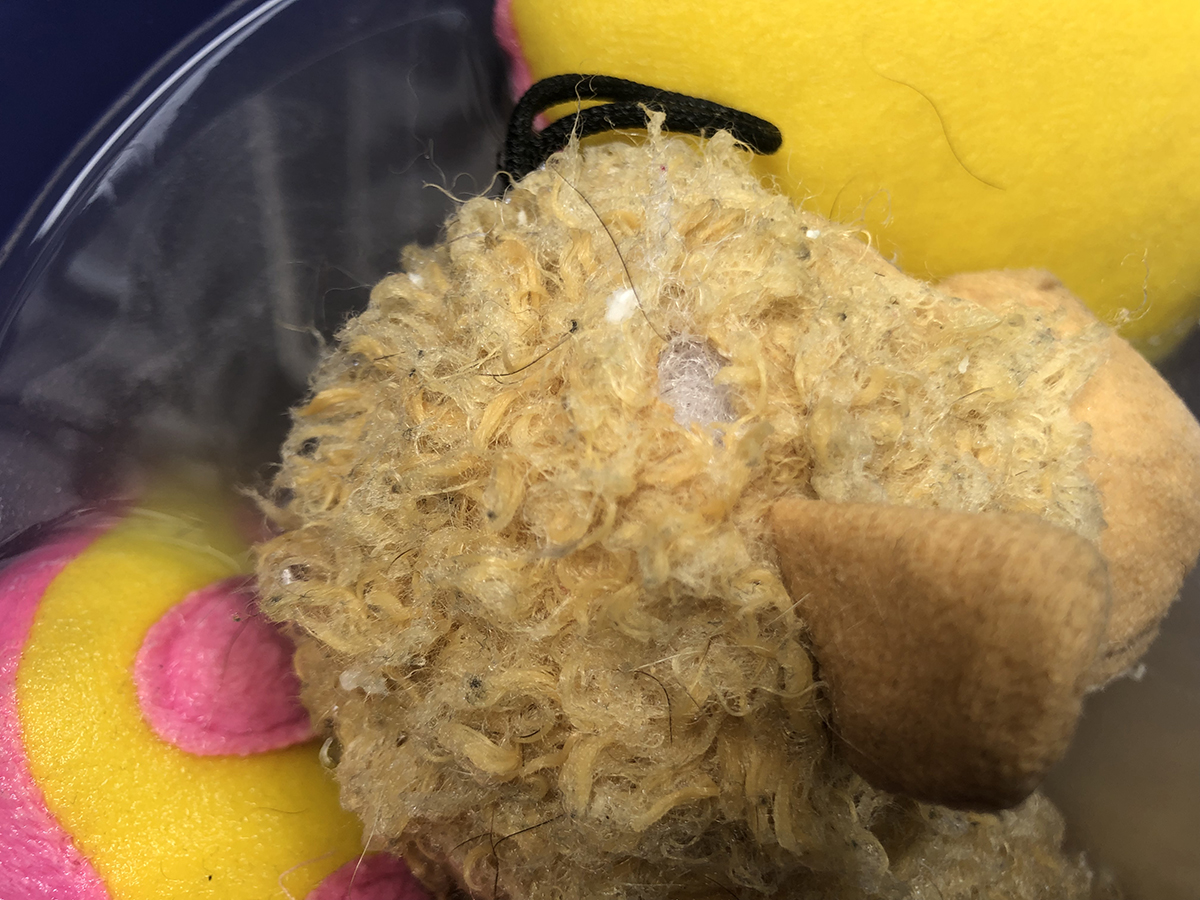 f:id:rokuzeudon:20190519113150j:plain