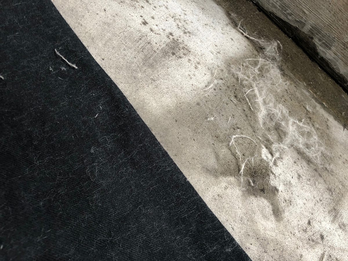 f:id:rokuzeudon:20190519113810j:plain