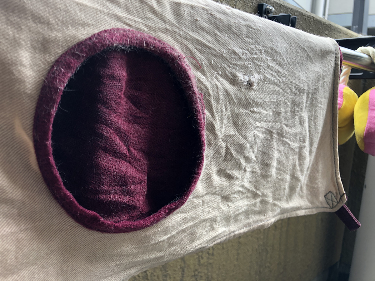 f:id:rokuzeudon:20190519114054j:plain