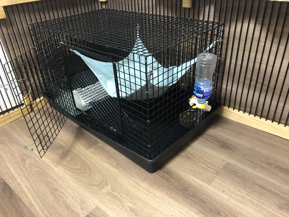 f:id:rokuzeudon:20190519114210j:plain