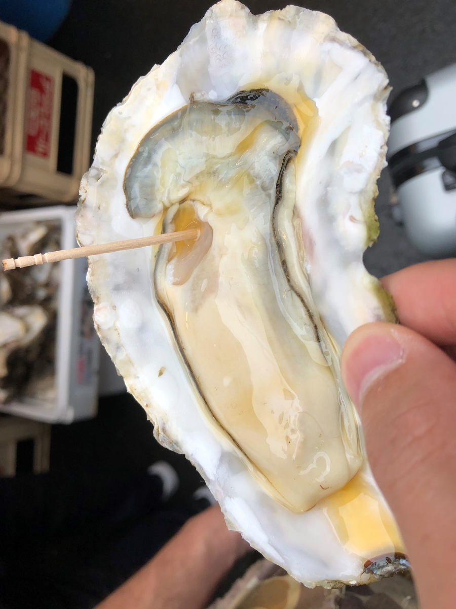 f:id:rolling_takeshi:20190704225410j:plain