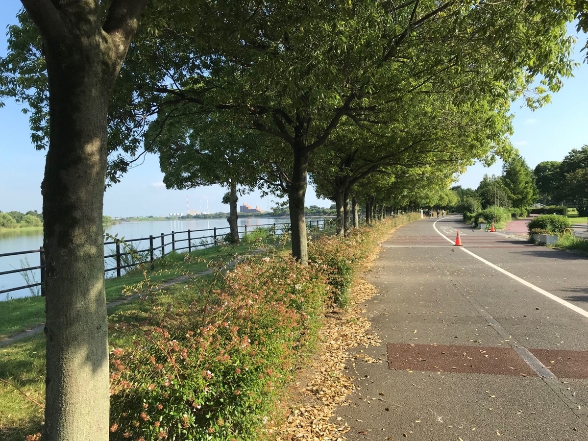 f:id:rollretasu:20190824200725j:plain