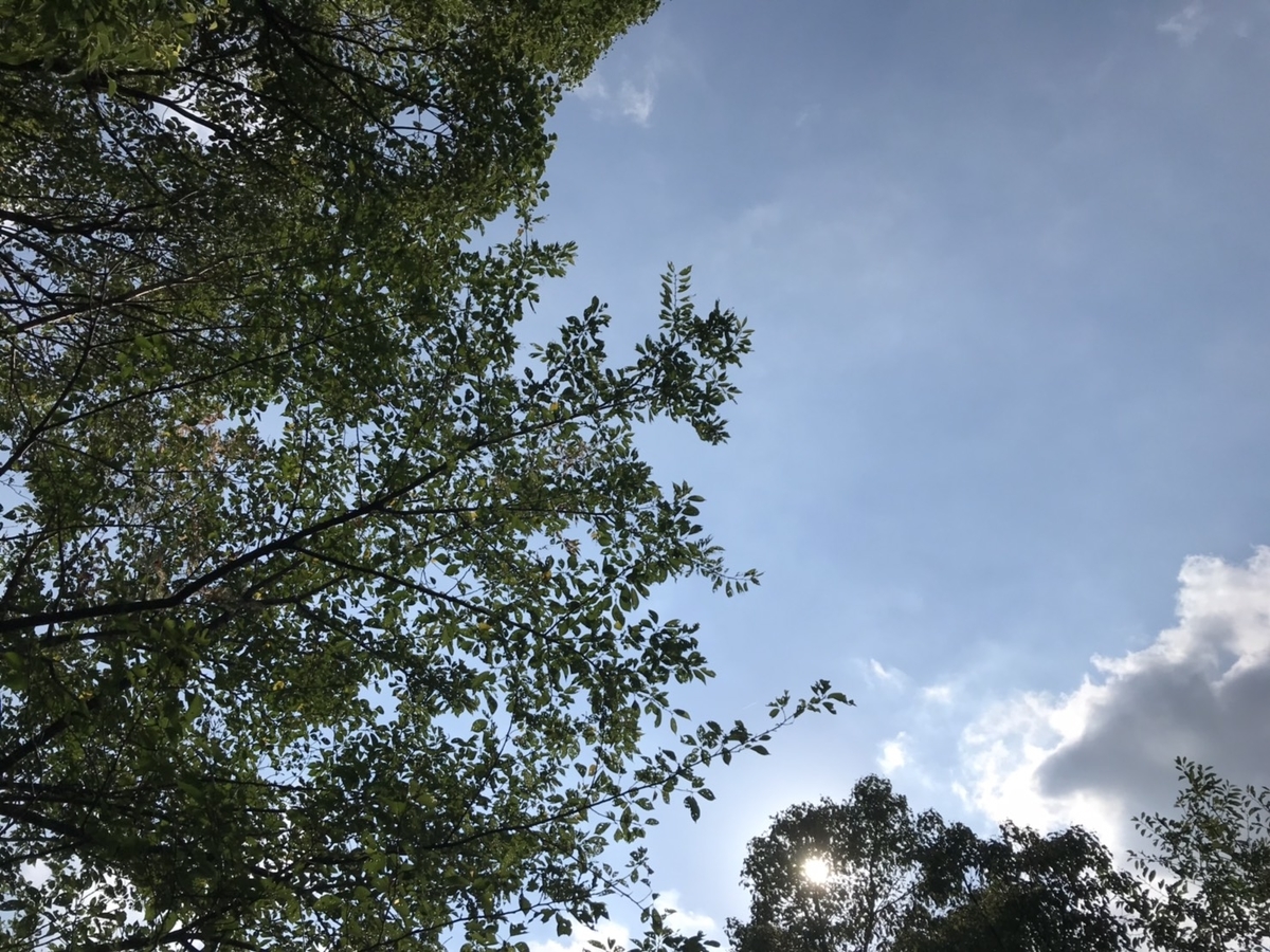 f:id:rollretasu:20190824204009j:plain