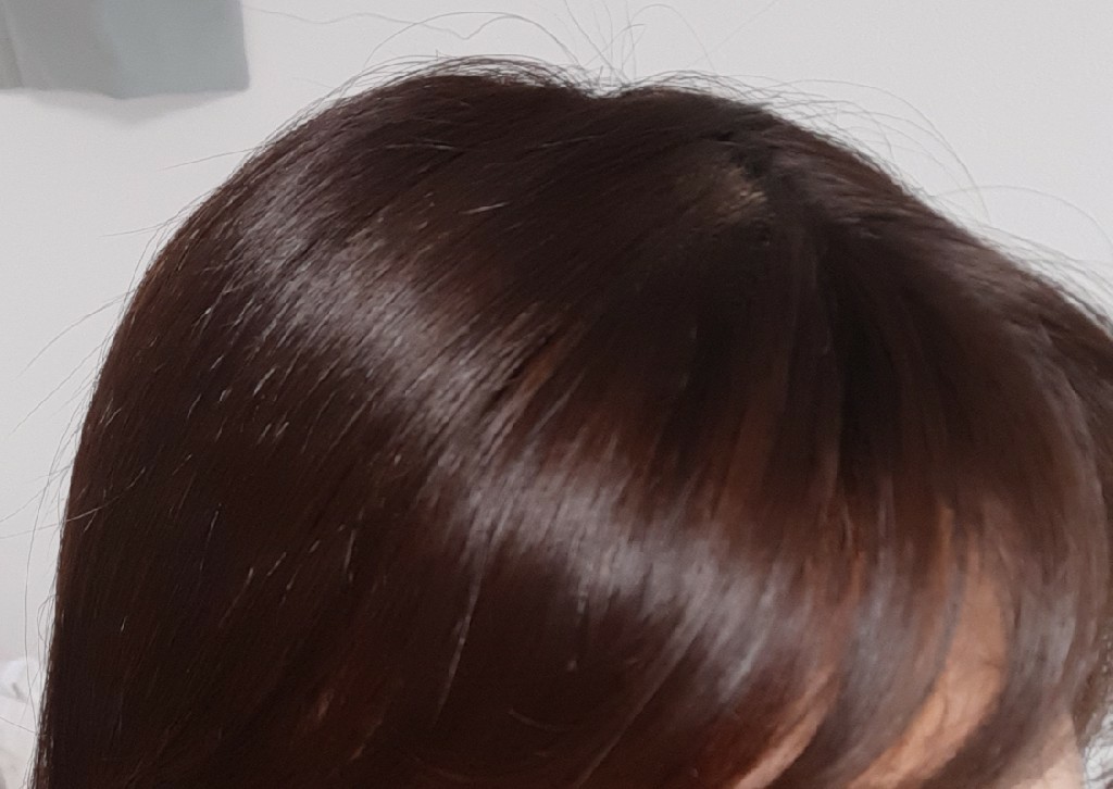 f:id:roma34ne7:20210614090834j:plain