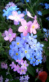 20090418175647
