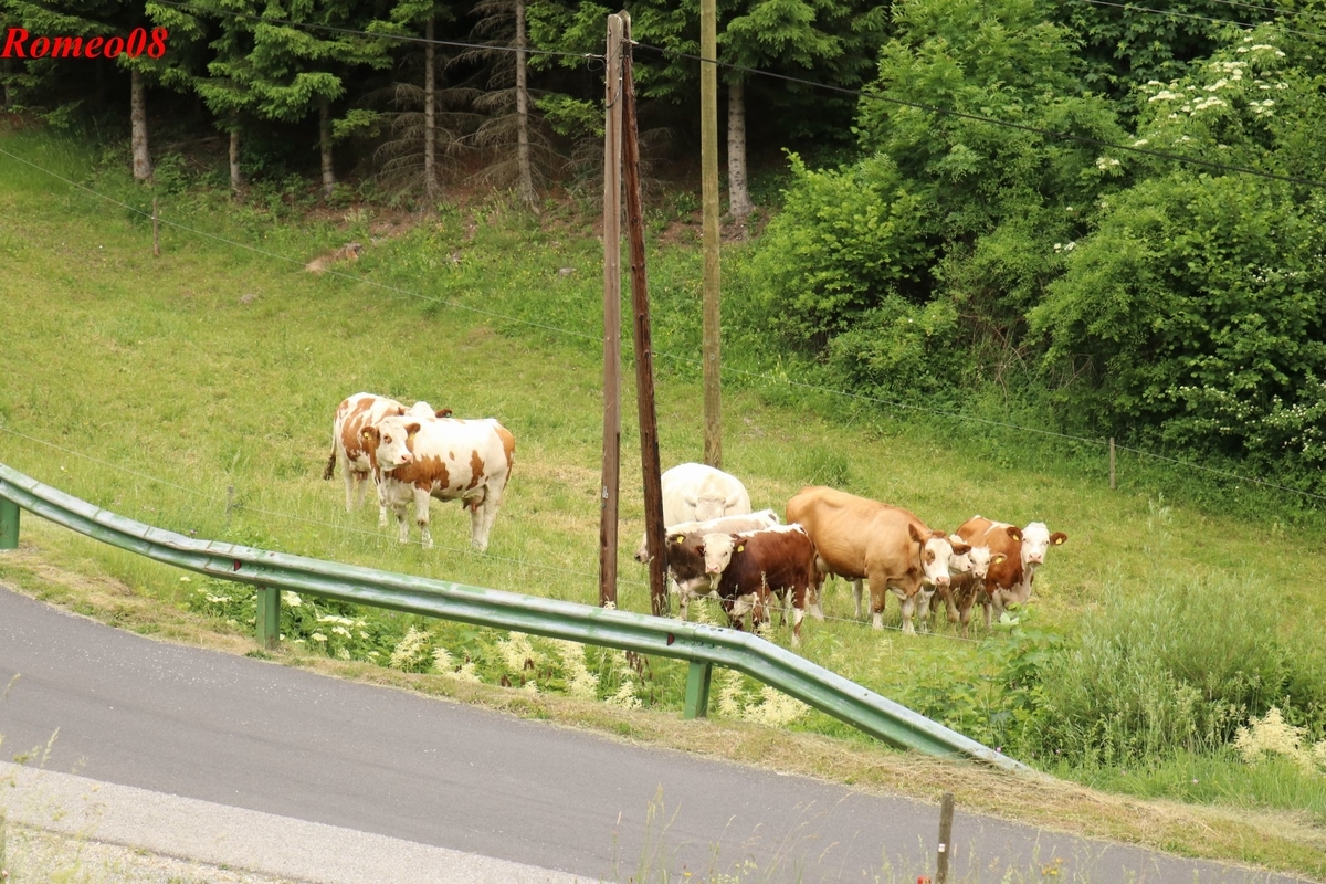 f:id:romeo08:20190622190725j:plain