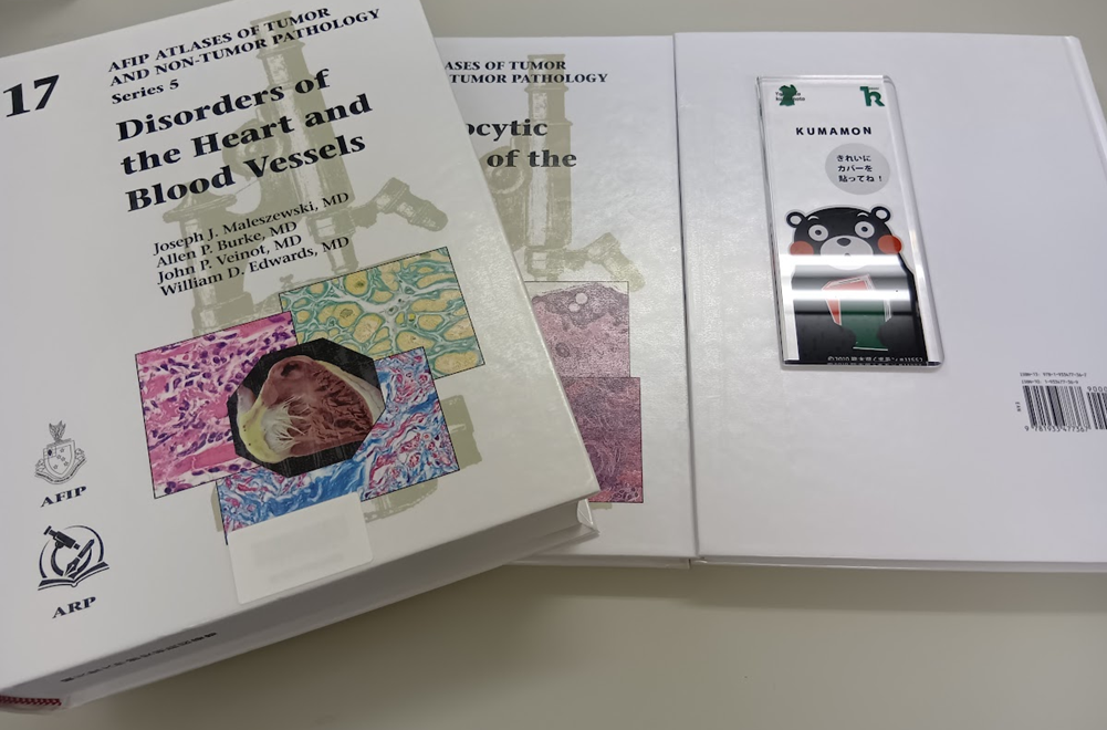 ブッカーを貼りました 画像 洋書3冊