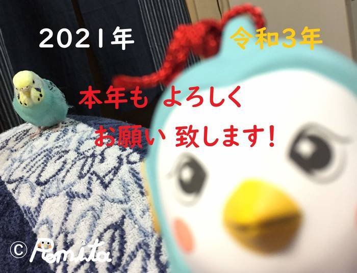 f:id:romita:20210110223205j:plain