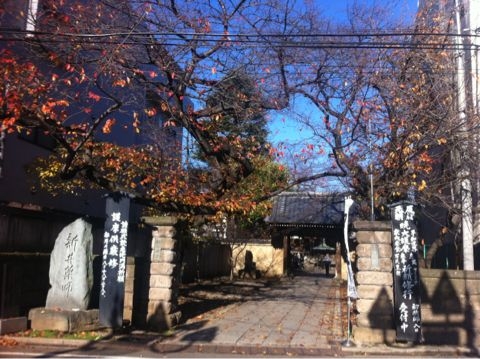 f:id:rompercicci:20121104232531j:image:w290:left