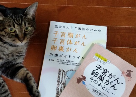 猫と子宮体癌の本