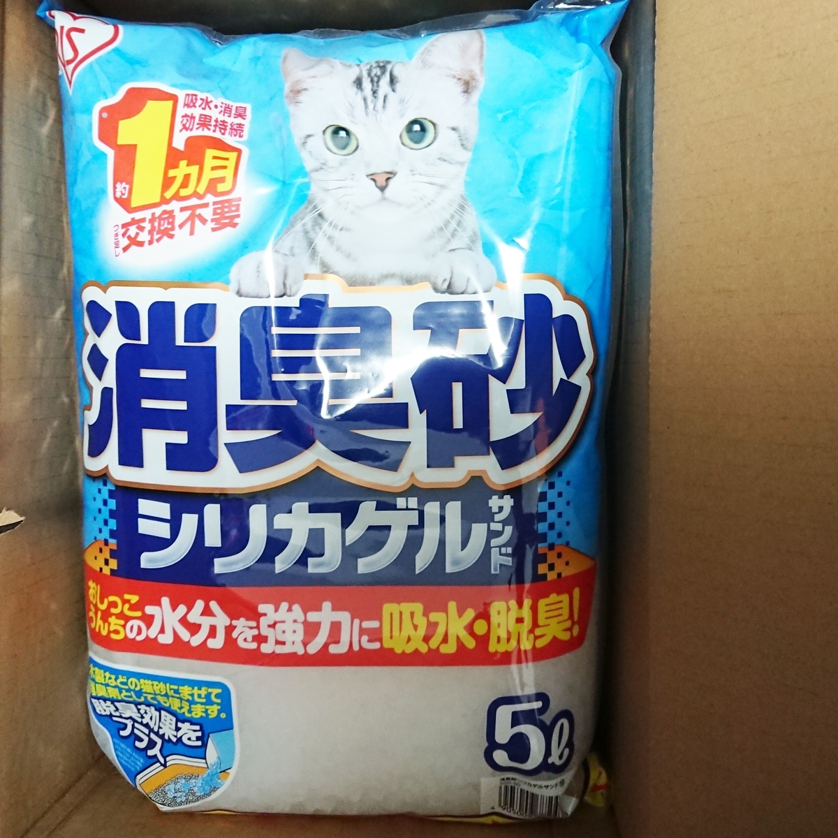 猫トイレ 我が家の現状 ズボラ主婦の臭い対策オススメ方法 Ronちゃんたろ ねこな日々