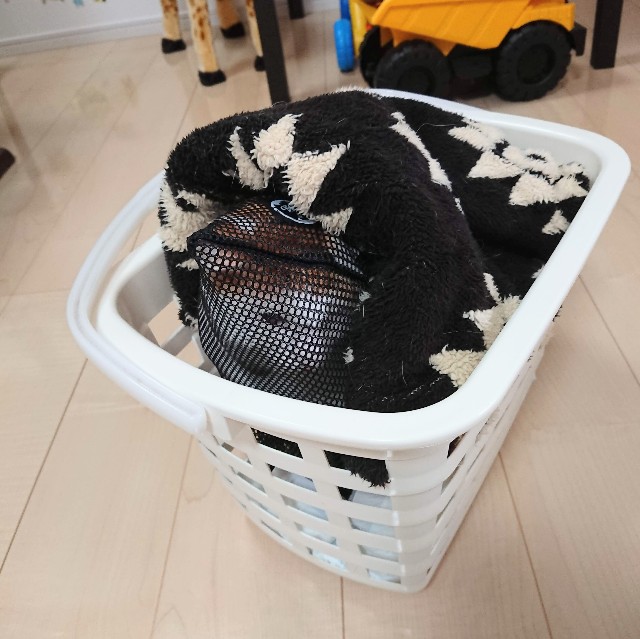 安心してください キャリーケースは代用品で何とかなる Ronちゃんたろ ねこな日々
