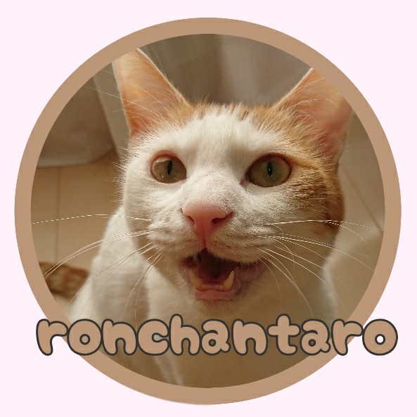 f:id:ronchantaro:20210130164920j:plain