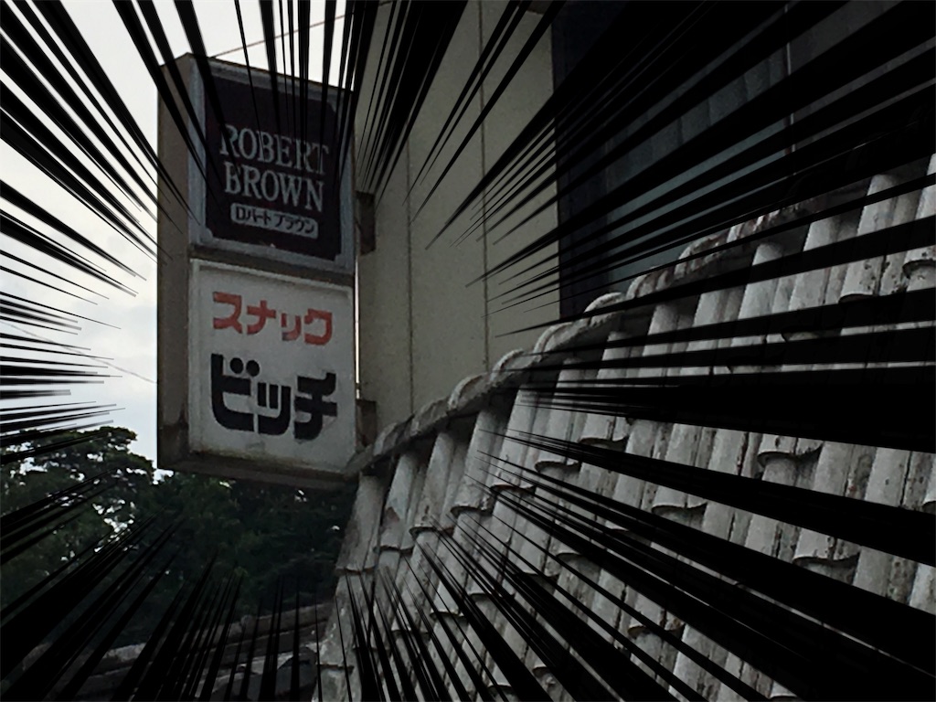 f:id:rondo_carrousel136:20190826222113j:image