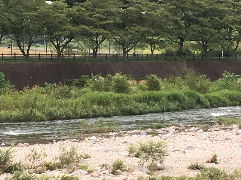 f:id:rondo_carrousel136:20190826222154j:image