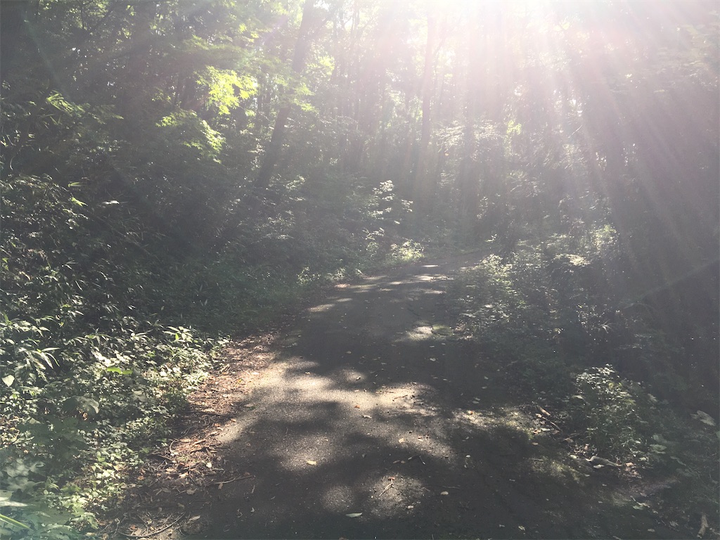 f:id:rondo_carrousel136:20200825210941j:image f:id:rondo_carrousel136:20200825210941j:image