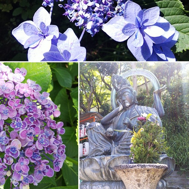 f:id:ronmamasmile:20200622222154j:image