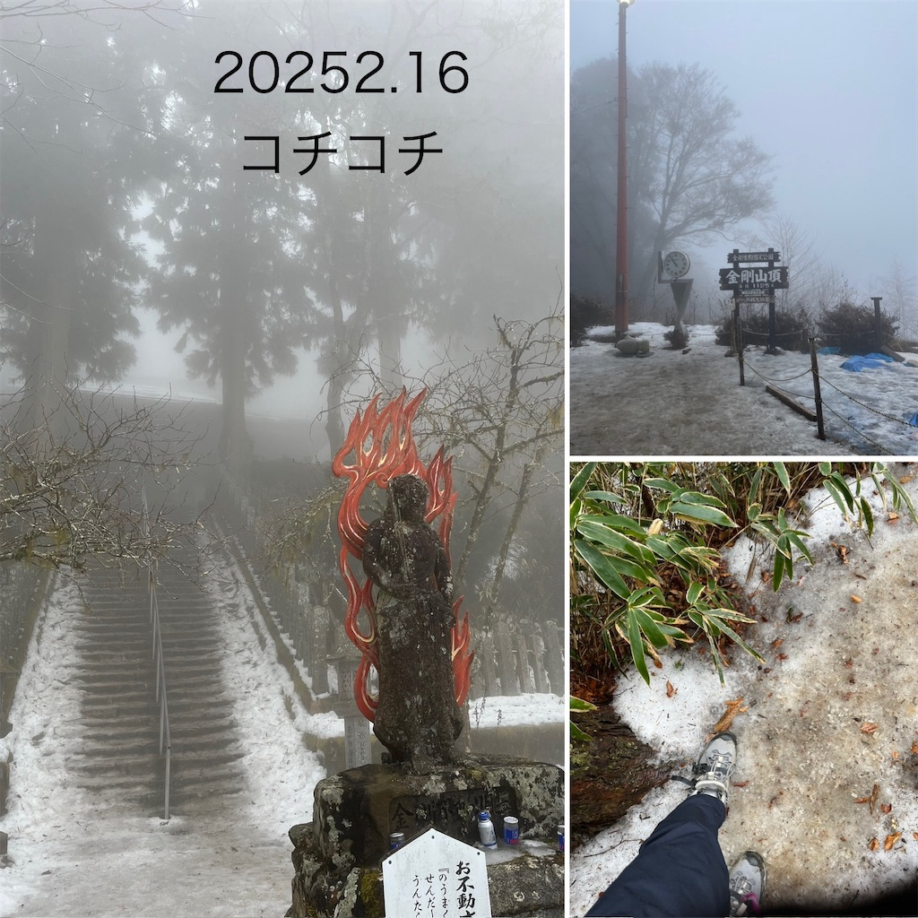 f:id:ronmamasmile:20250315204210j:image