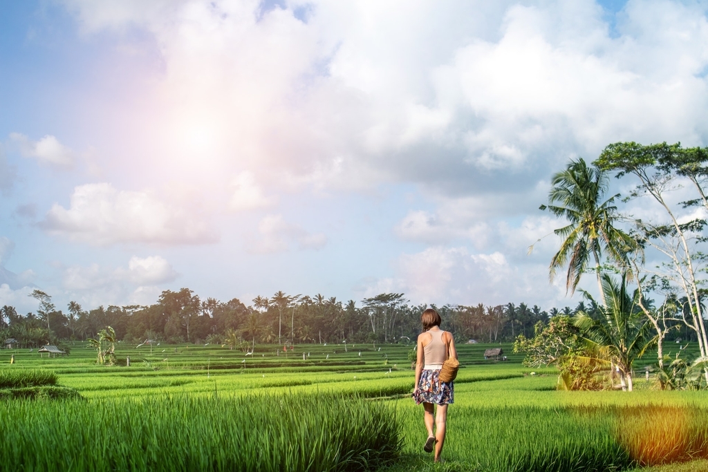 f:id:ronodera:20190304164904j:plain