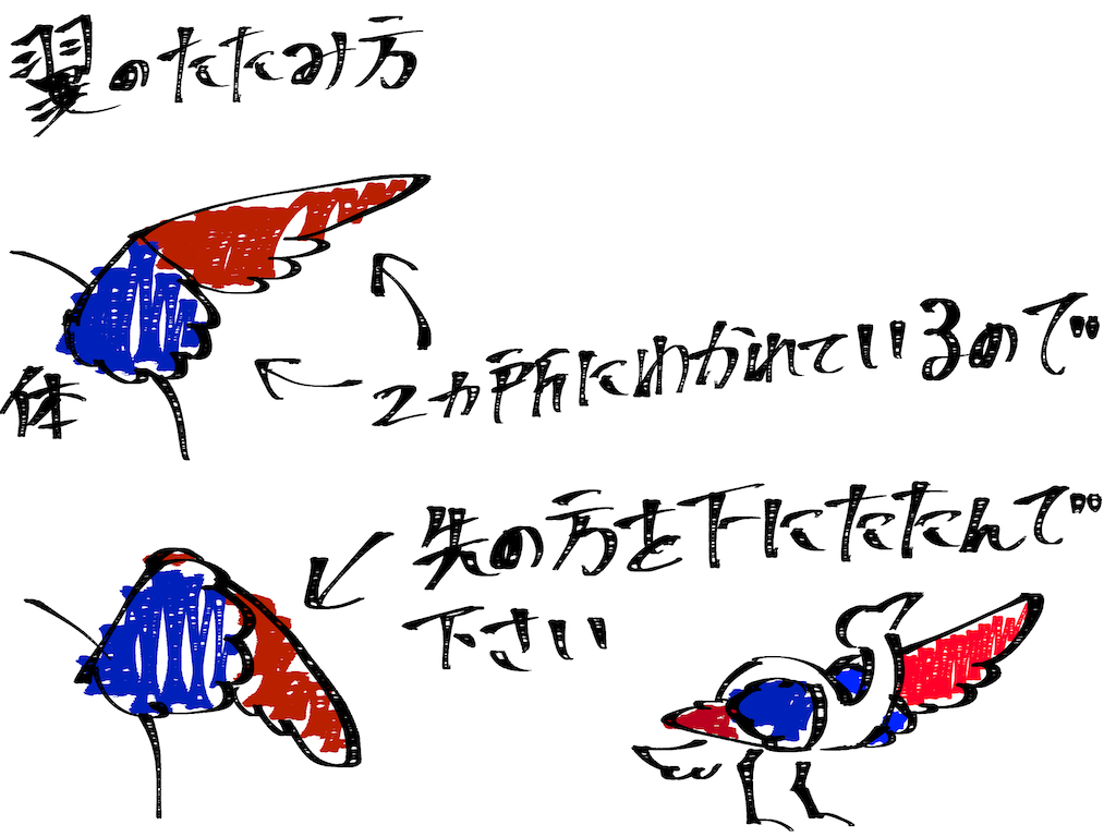 f:id:ronomeku:20230406000759p:image