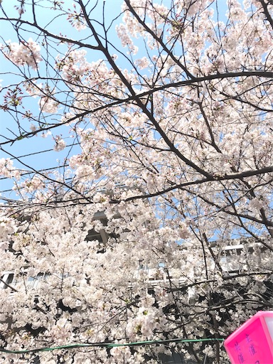 f:id:ronotabi:20190410203913j:image