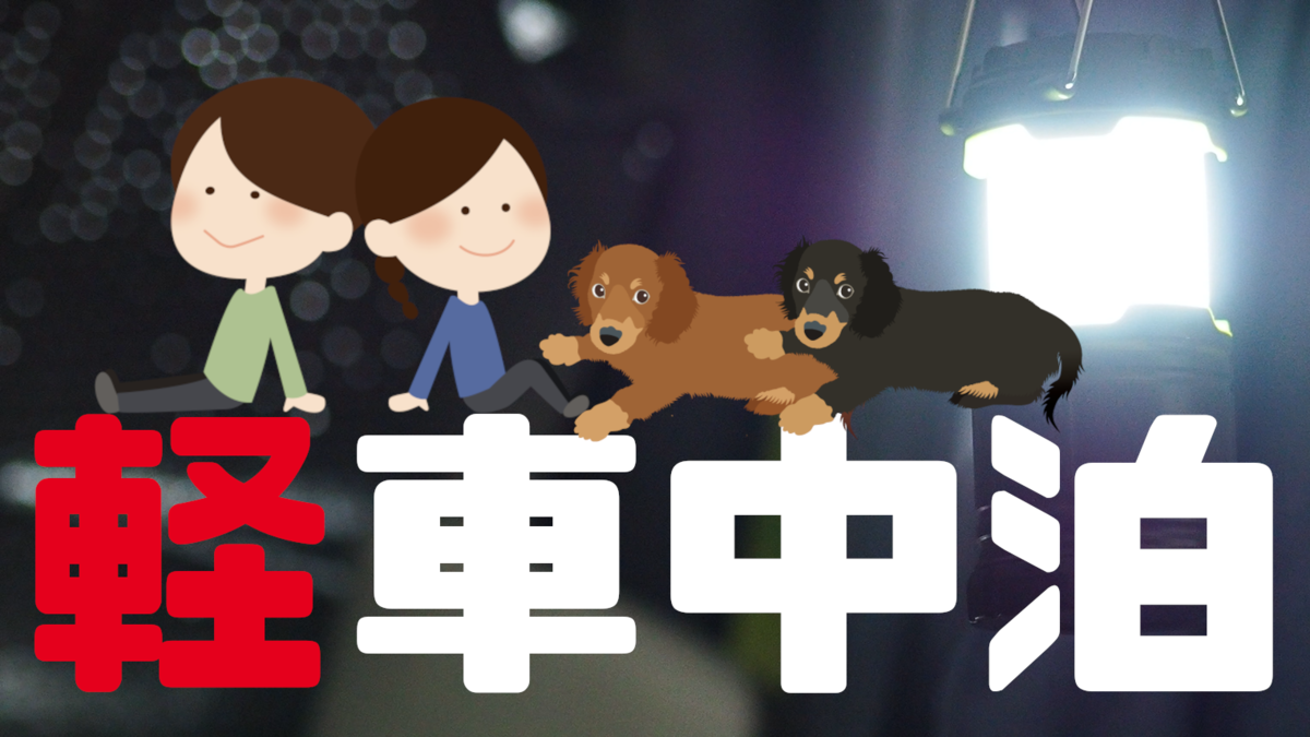 f:id:ronpakuchannel:20210505200811p:plain