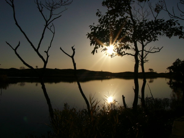 f:id:ronri:20061016154927j:image