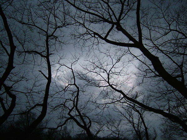 f:id:ronri:20101125120624j:image