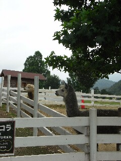 f:id:room4638:20110705124400j:image f:id:room4638:20110705124400j:image
