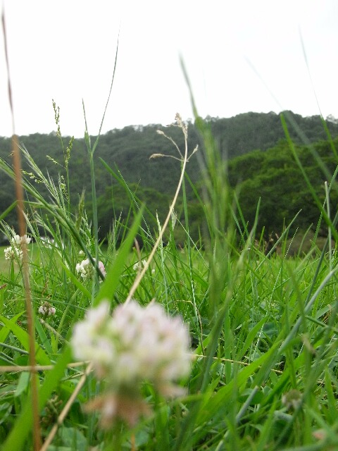 f:id:room4638:20110705124402j:image f:id:room4638:20110705124402j:image