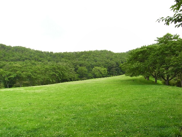 f:id:room4638:20110705124403j:image f:id:room4638:20110705124403j:image
