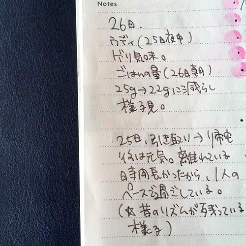 f:id:room510edit:20191003085210j:plain f:id:room510edit:20191003085210j:plain