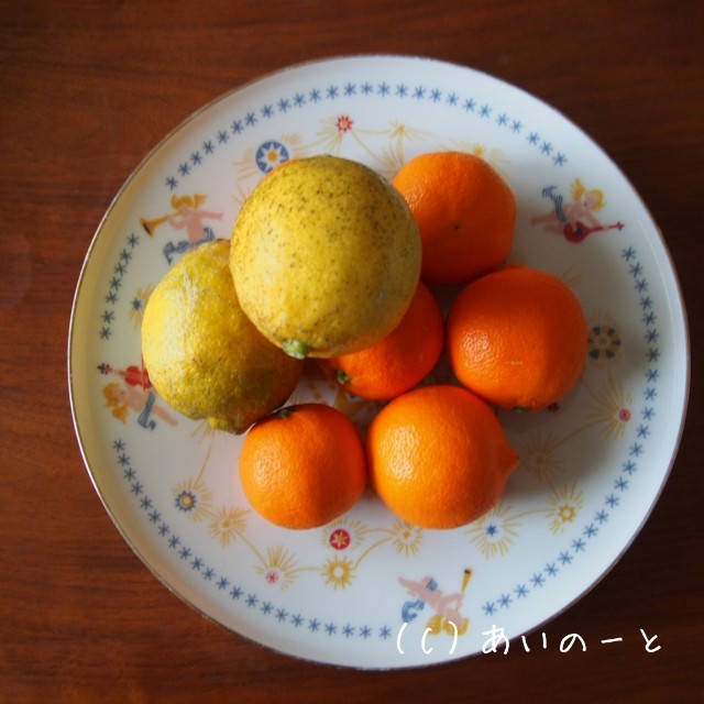f:id:room510edit:20210218173742j:image f:id:room510edit:20210218173742j:image