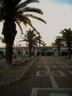 f:id:rootsy:20040716194508j:image