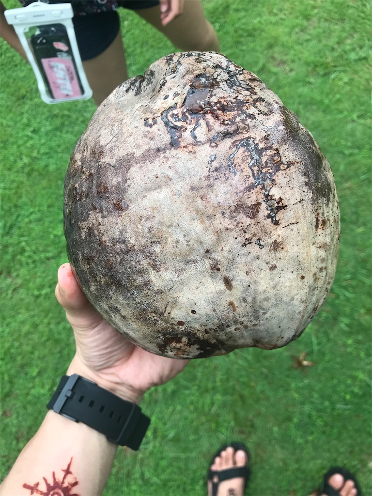 f:id:ropolis:20191225122031j:image