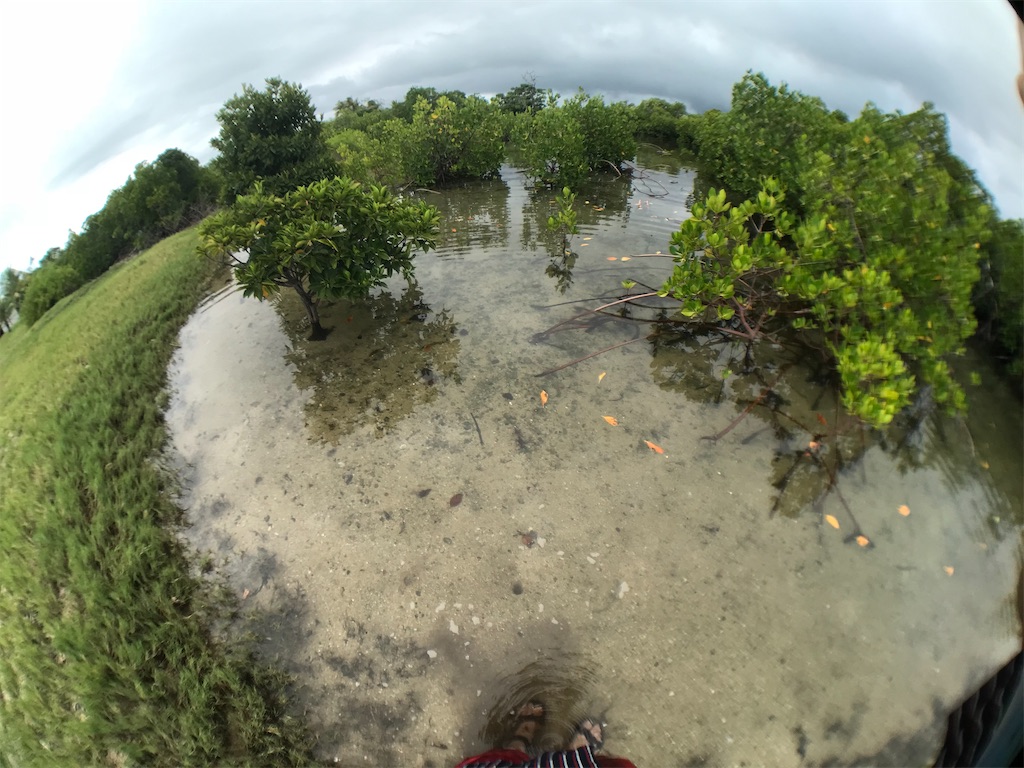 f:id:ropolis:20191225122108j:image