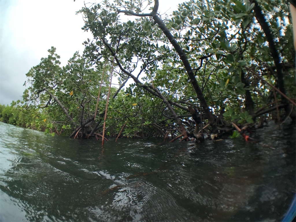 f:id:ropolis:20191225122113j:image