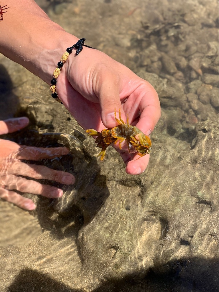 f:id:ropolis:20191225122154j:image