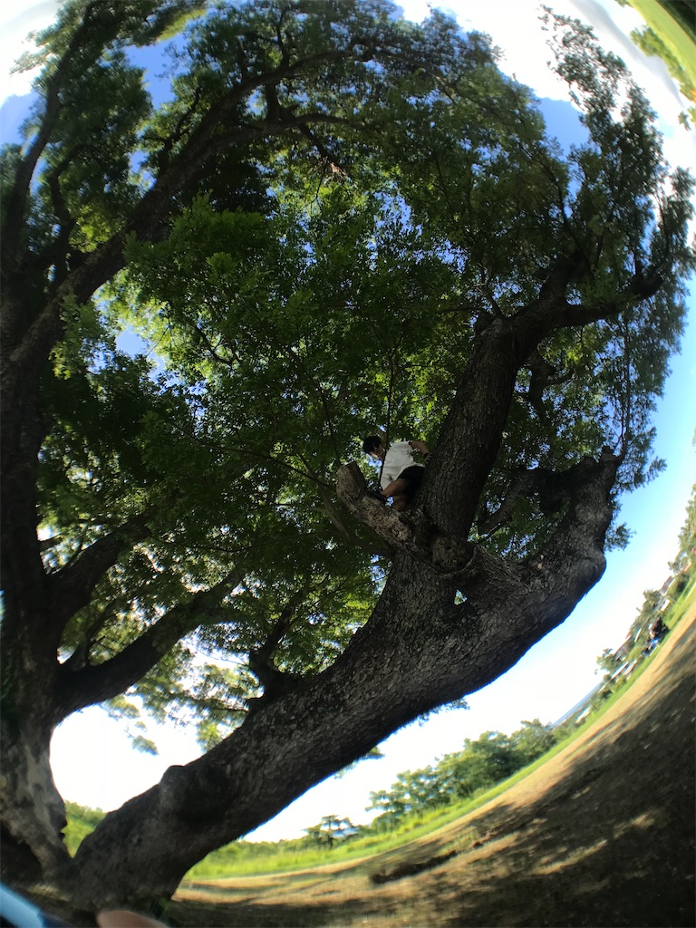 f:id:ropolis:20191225125757j:image