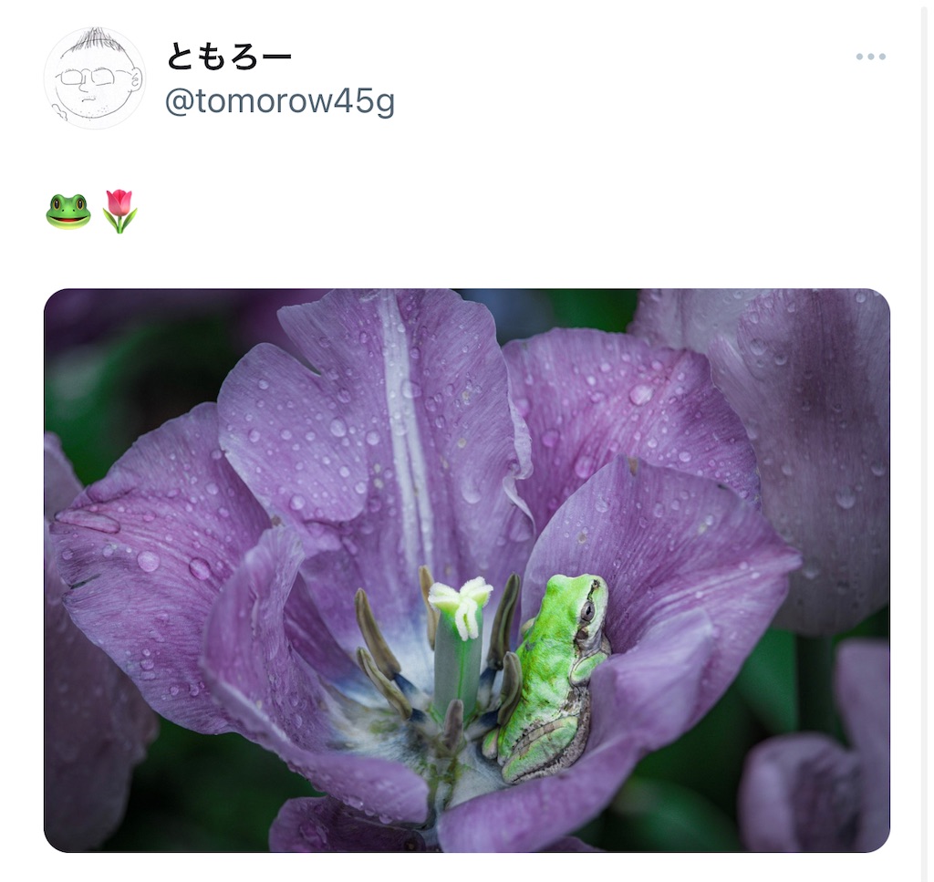 f:id:roppikoponz:20230328200225j:image