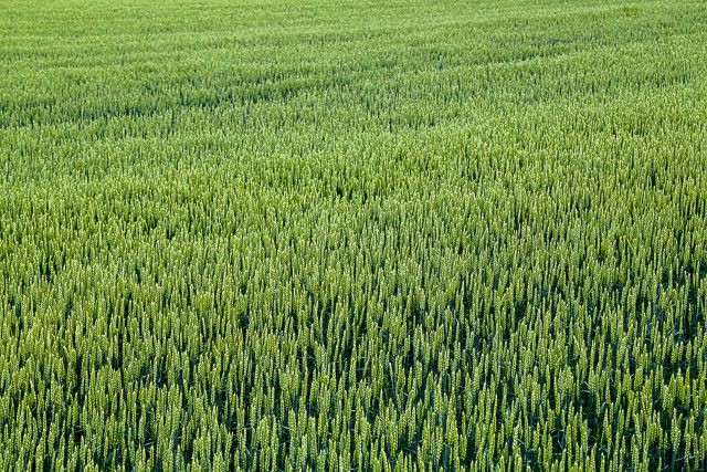 f:id:ropross:20160625120201j:plain