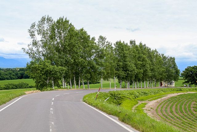 f:id:ropross:20160625120203j:plain