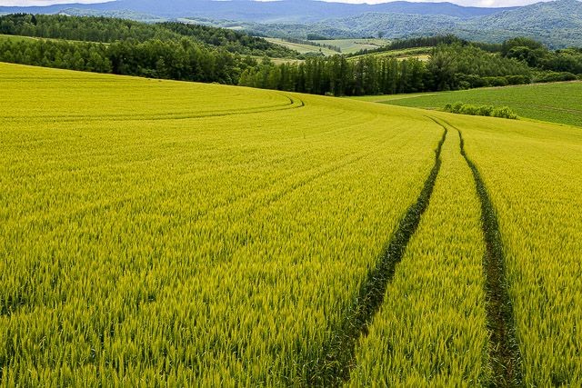 f:id:ropross:20160625120206j:plain