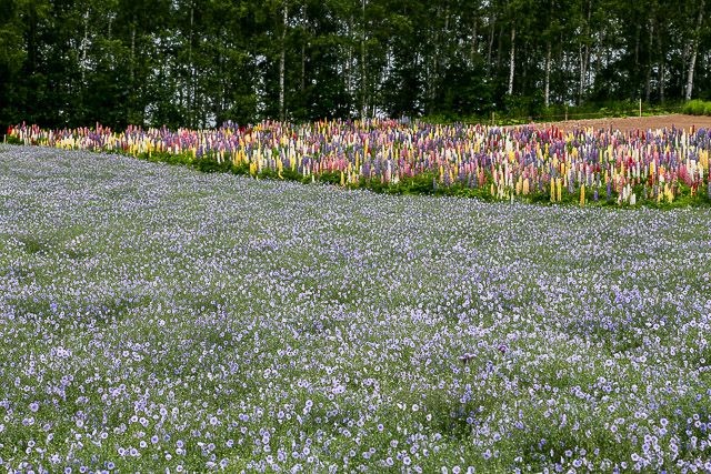 f:id:ropross:20160625120233j:plain