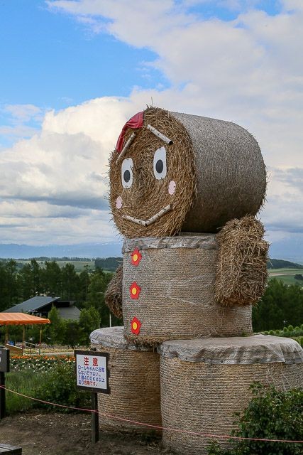 f:id:ropross:20160625120235j:plain