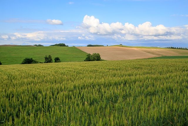 f:id:ropross:20160625120239j:plain