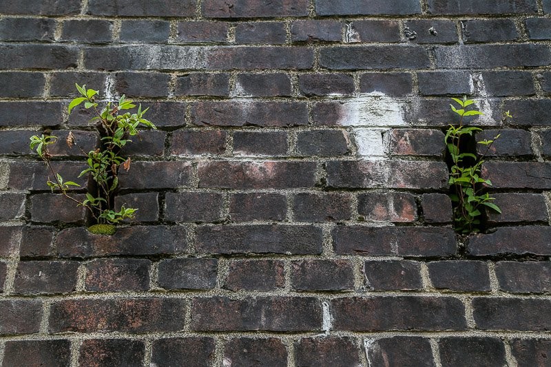 f:id:ropross:20160626170605j:plain f:id:ropross:20160626170605j:plain